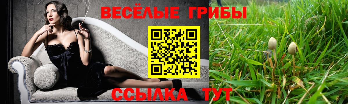 Псилоцибиновые грибы ЛСД  Вход с VPN  Губкинский 
